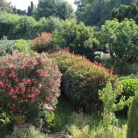 Lou Jas * Grimaud